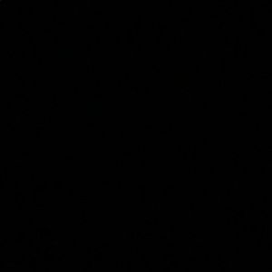 Meet your Posher, Ashlin